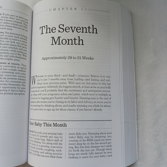 "What To Expect When You're Expecting" Pregnancy Book & Journal Organizer, Set - Picture 5 of 16